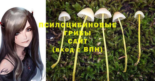прущая мука Абдулино