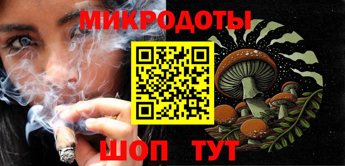 Кизилюрт  Галлюциногенные грибы Psilocybine cubensis  Вход с VPN 