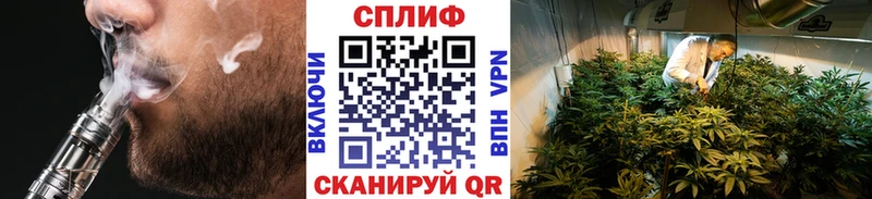 где можно купить Кизилюрт Бошки Шишки конопля
